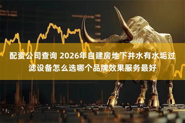 配资公司查询 2026年自建房地下井水有水垢过滤设备怎么选哪个品牌效果服务最好