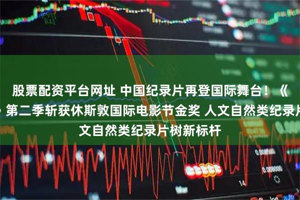 股票配资平台网址 中国纪录片再登国际舞台！《大河之洲》第二季斩获休斯敦国际电影节金奖 人文自然类纪录片树新标杆